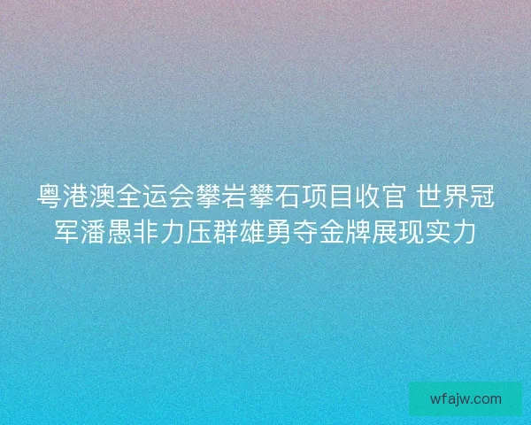 粤港澳全运会攀岩攀石项目收官 世界冠军潘愚非力压群雄勇夺金牌展现实力