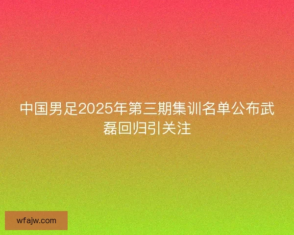 中国男足2025年第三期集训名单公布武磊回归引关注 中国男足2025年第三期集训名单公布武磊回归引关注